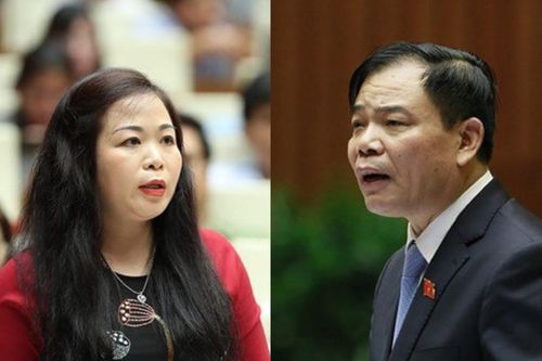 'Sẽ trung thực hơn nếu bộ trưởng nói mất rừng do quản lý bất cập'
