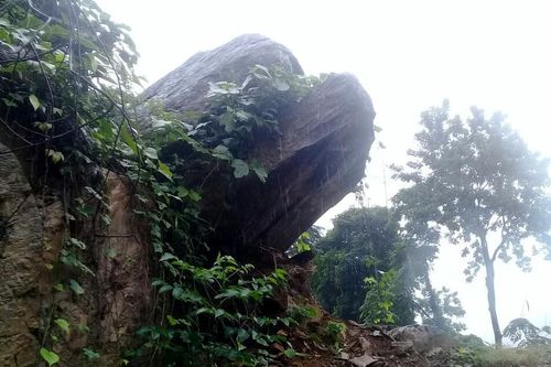 Quảng Ngãi di dời 300 người dân vì vết nứt núi sạt lở kéo dài