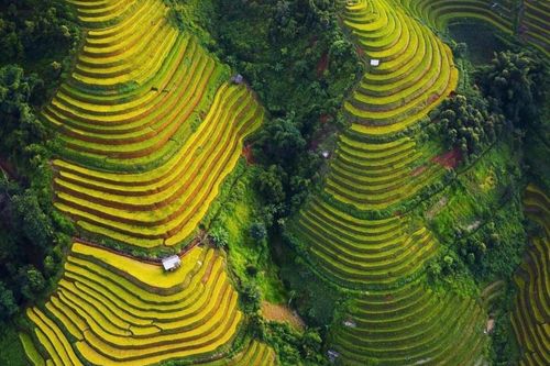 Mù Cang Chải vào top 50 điểm đến đẹp nhất thế giới