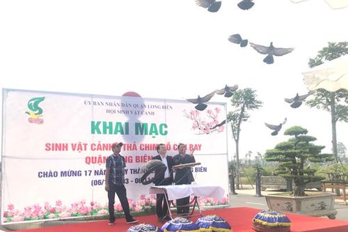Long Biên phát triển văn hóa, kích cầu thương mại, làng nghề