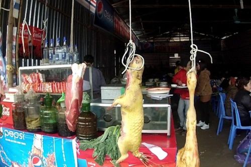 ENV cảnh báo nguy cơ nhiễm COVID-19 khi ăn thịt động vật hoang dã