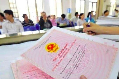 Trẻ em có được đứng tên sổ đỏ không?