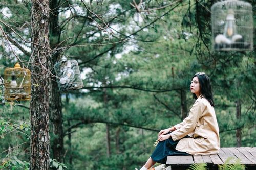 4 quán cà phê ẩn mình giữa núi rừng Đà Lạt