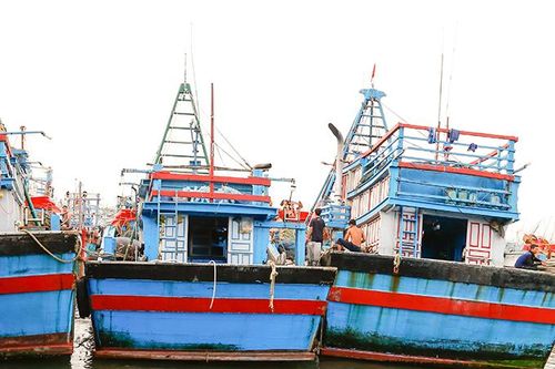 Khánh Hòa khẩn trương triển khai công tác ứng phó với bão số 12