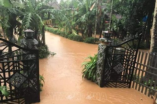 Đại sứ quán Sri Lanka hỗ trợ người dân miền Trung khắc phục hậu quả lũ lụt