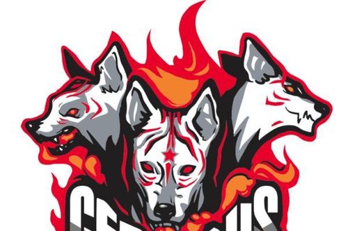 Chuyển nhượng VCS: Cerberus Esport liệu có 'khác biệt'