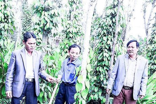 Bảo vệ quyền lợi người tiêu dùng