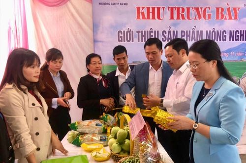 Khẳng định vai trò của nông dân Thủ đô trong xây dựng nông thôn mới