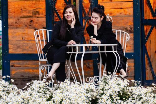 Nhiều không gian mới chụp ảnh với cúc họa mi hấp dẫn người dân
