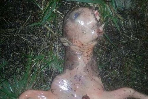 'Sởn gai ốc' khi nhìn thấy loài sinh vật có hình thù quái dị