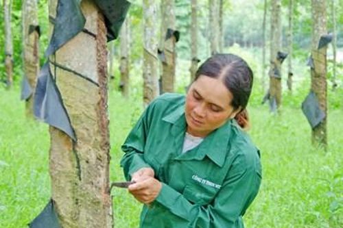 Người phụ nữ Ca Dong 'hai giỏi'