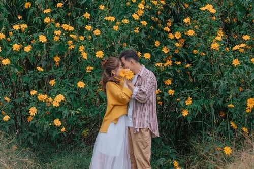 Những mùa hoa Đà Lạt trong tháng 11