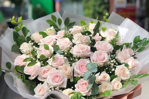 Thị trường ngày 17/11: Đinh lăng 'thất sủng', sôi động thị trường quà tặng 20/11