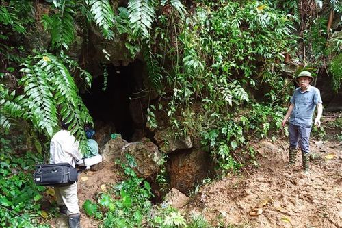 Đi tìm vàng, một người bị mất tích khi rơi xuống hang sâu khoảng 500m
