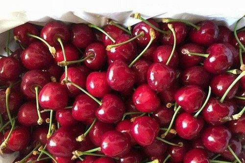 Lộ diện loại quả khiến chị em 'trẻ mãi không già'