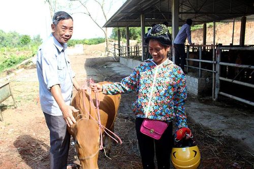 Phát huy hiệu quả các chính sách dân tộc