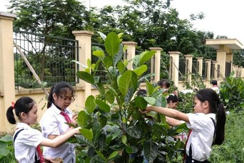 Cộng đồng mạng quyết tâm 'phủ xanh' mạng xã hội và câu chuyện dễ thương đằng sau