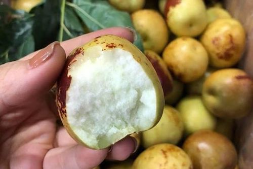 TP Hồ Chí Minh: Đắt gấp đôi táo Mỹ, táo tàu tươi vẫn 'cháy hàng'
