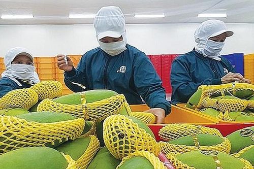 Các ngành hàng thế mạnh của Việt Nam trong RCEP