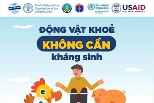 Việt Nam đẩy mạnh hoạt động phòng chống kháng kháng sinh