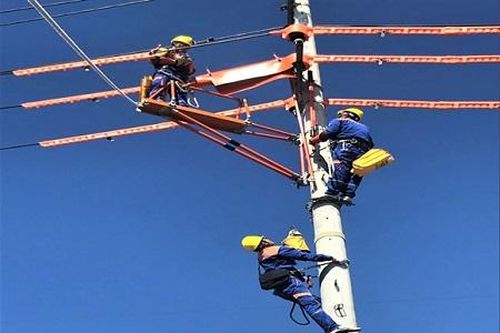 PC Ninh Bình phấn đấu giảm tổn thất điện năng xuống 4,39%