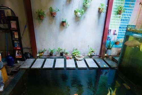 Vừa uống cà phê vừa ngắm cá Koi tại Hà Nội