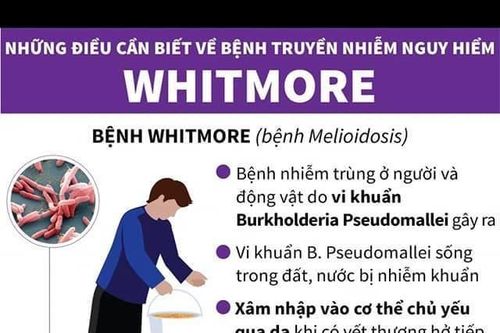 Tăng cường phòng, chống bệnh Whitmore