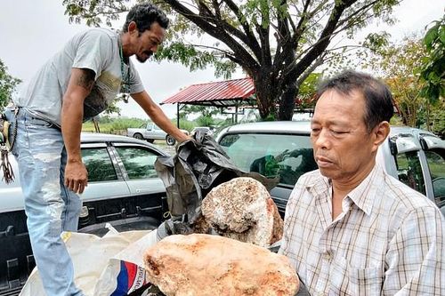 Ngư dân Thái Lan phát hiện khối u nghi là 'bãi nôn cá voi', có giá 74 tỉ đồng