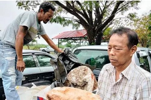 Dạo bờ biển, ông lão bất ngờ tìm thấy 'báu vật' trị giá hơn 74 tỷ đồng