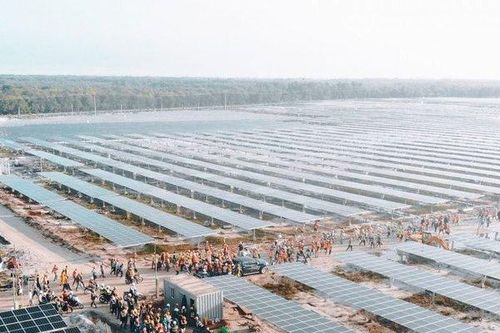 Nữ đại gia 'bỏ túi' trăm tỷ nhờ nhà máy điện mặt trời Phong Điền 2