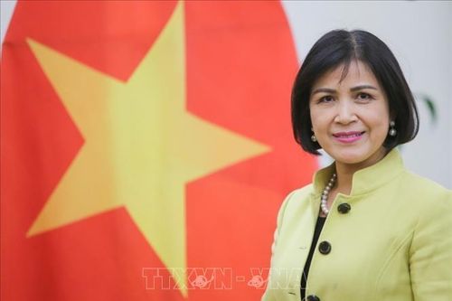 Việt Nam tham dự Khóa họp Ủy ban Điều phối WIPO lần thứ 79