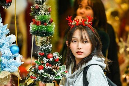 Hàng Mã rực rỡ sắc màu đón Noel