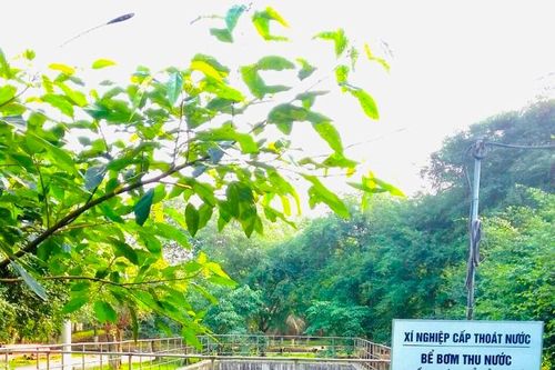 Supe Lâm Thao: sản xuất đảm bảo chất lượng đi đôi với bảo vệ môi trường