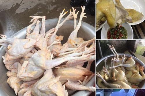 Gà ri 45 nghìn/kg, sự thật được người nuôi tiết lộ