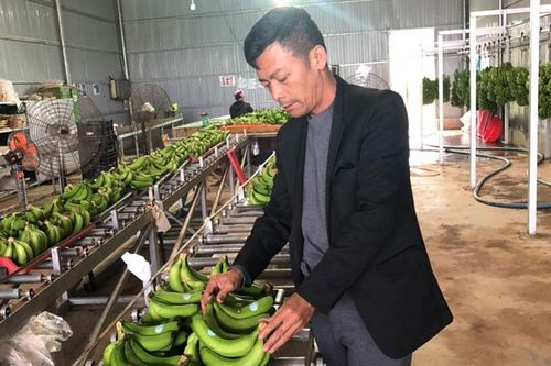 3 sản phẩm nông nghiệp của Đam Rông được công nhận sản phẩm OCOP