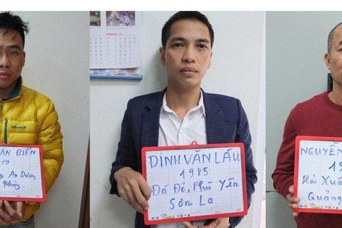 Triệt phá 'động' mại dâm chuyên tuyển tiếp viên trẻ, chưa đủ 18 tuổi
