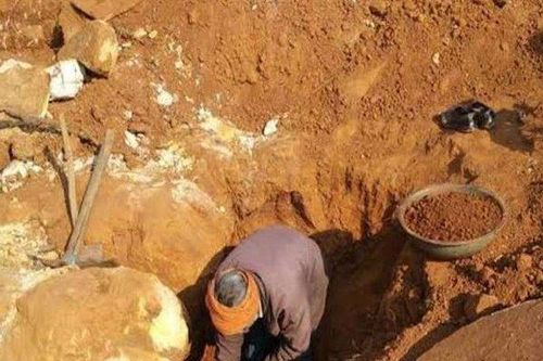 Nhát cuốc may mắn giúp lão nông trở thành triệu phú sau một đêm