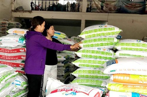 Thị trường thức ăn chăn nuôi: 'Bánh ngon' trong tay ai?