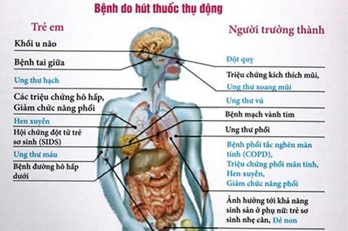 Tác hại của hút thuốc lá tới sức khỏe sinh sản