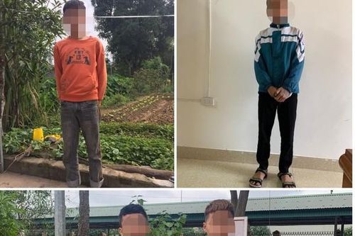 Tóm gọn nhóm trộm nhí hoành hành liên huyện