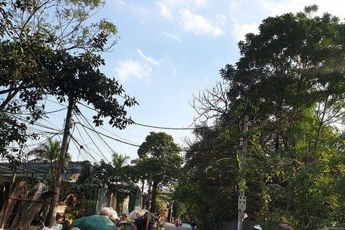 'Đừng để đấu thầu rác năm 2021 đi vào… 'vết xe đổ'!