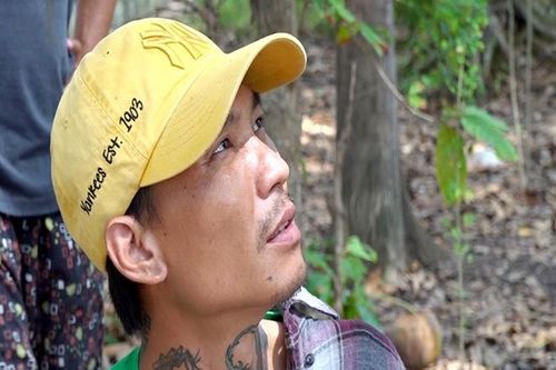 'Trường gà' quy mô lớn tại vườn sao bị triệt phá