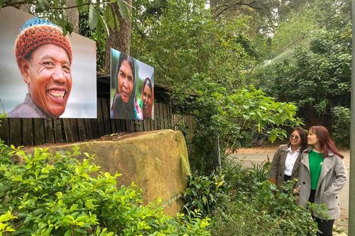 ''Đà Lạt hòa điệu'' trên con đường mang tên tình yêu