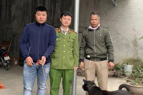 Bắt giữ 3 đối tượng trộm chó