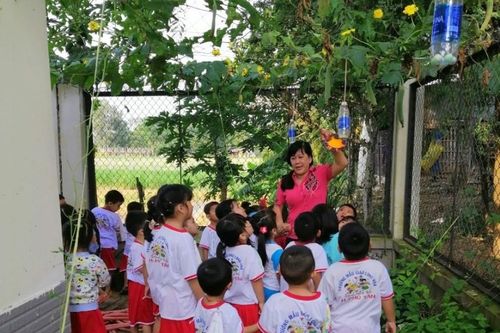 Lập vườn rau làm 'giáo cụ' đặc biệt cho trẻ mẫu giáo