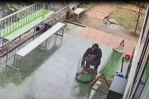 Siêu trộm chim 'chết' vì 3 đôi giày vải