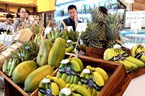 Chờ đợi 'sức bật' mới của xuất khẩu nông sản hữu cơ