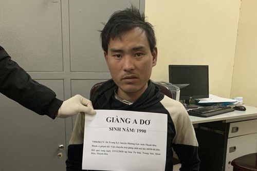 Ném gần 2.000 viên ma túy vào rừng để phi tang vẫn không thoát