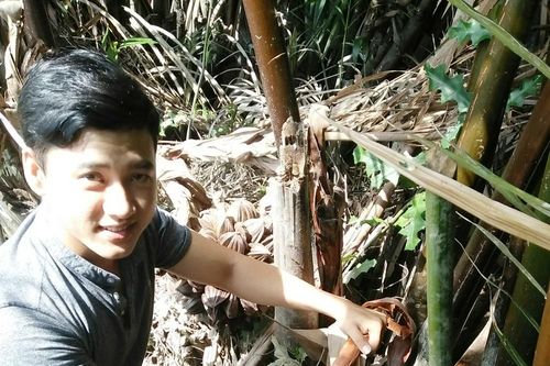 Sinh viên khởi nghiệp từ cây dừa nước