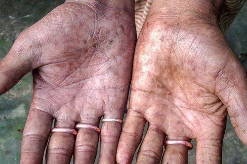 Gia đình 4 thế hệ khiến nhân viên làm chứng minh thư 'khóc thét'